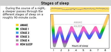 stage of sleep
